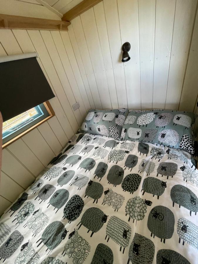The Shepards Hut Appartement Llwyn-Dafydd Buitenkant foto